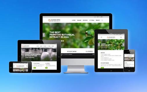 網(wǎng)站建設(shè)新聞推廣的發(fā)布