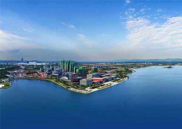 網(wǎng)站排名下降的重大因素