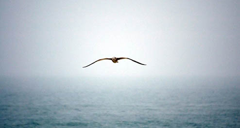 廣州營(yíng)銷型網(wǎng)站有哪些特點(diǎn)呢？